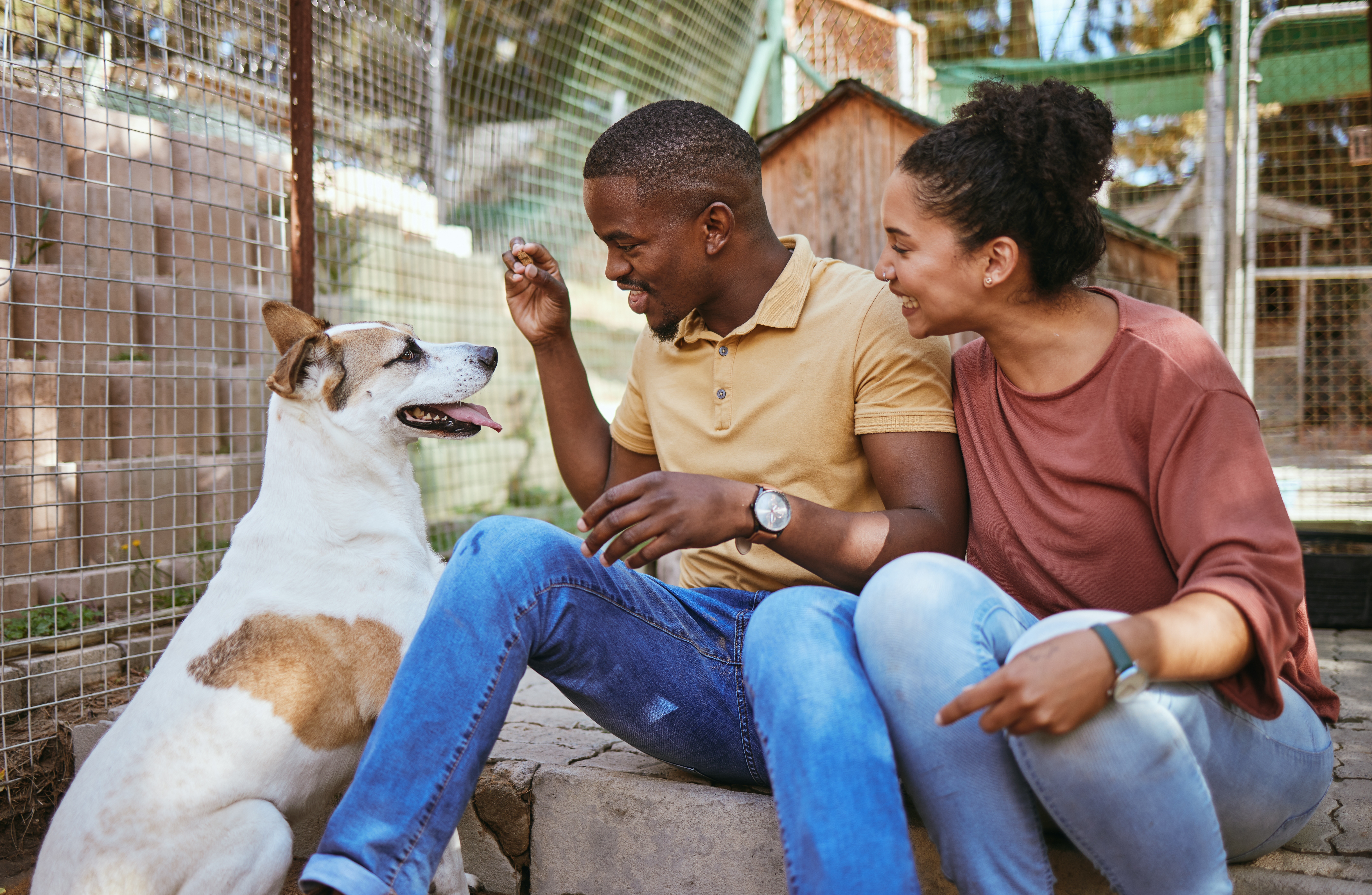 Rescue organization helping with pet adoption