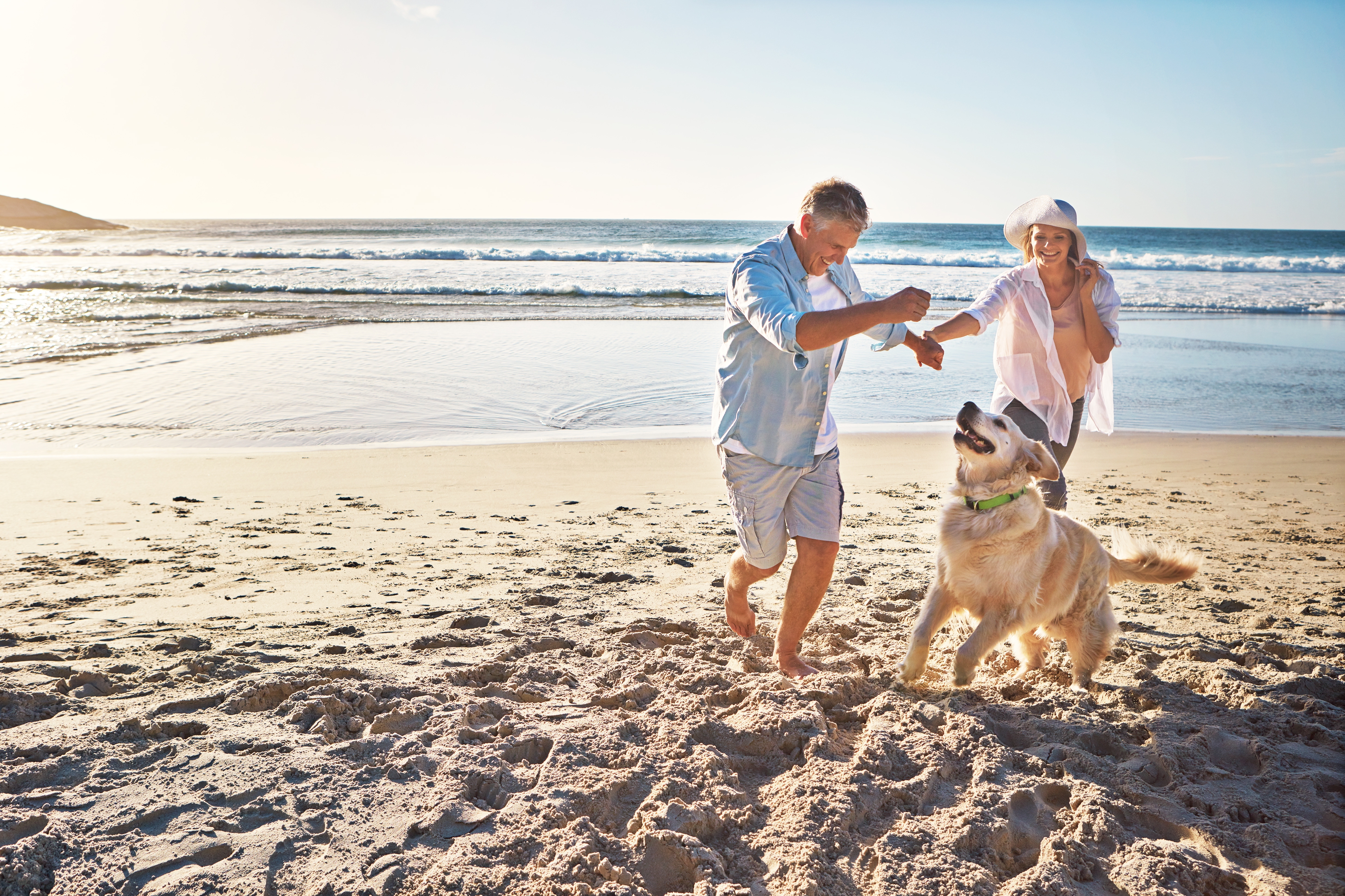 Luxury pet travel experience with family on beach