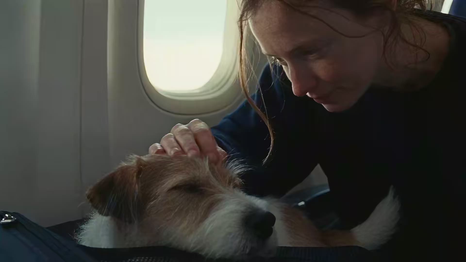 A woman in an aircraft window seat leans down to stroke her small terrier, who rests calmly at her feet.